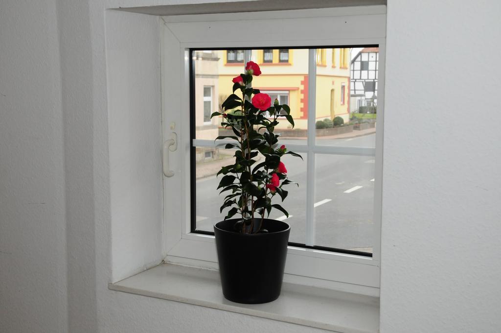 Pension Schaumburger-Hof Fischbeck Экстерьер фото